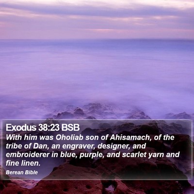 Exodus 38:23 BSB Bible Verse Image