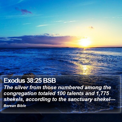 Exodus 38:25 BSB Bible Verse Image