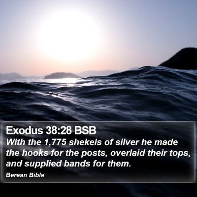 Exodus 38:28 BSB Bible Verse Image