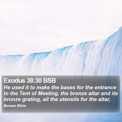 Exodus 38:30 BSB Bible Verse Image
