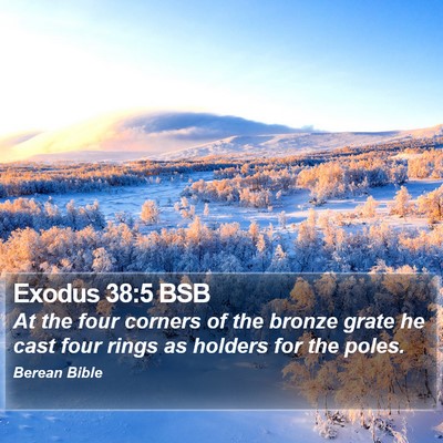 Exodus 38:5 BSB Bible Verse Image