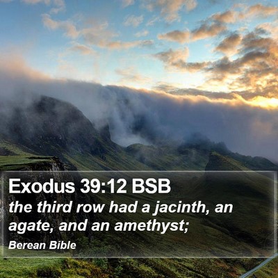 Exodus 39:12 BSB Bible Verse Image