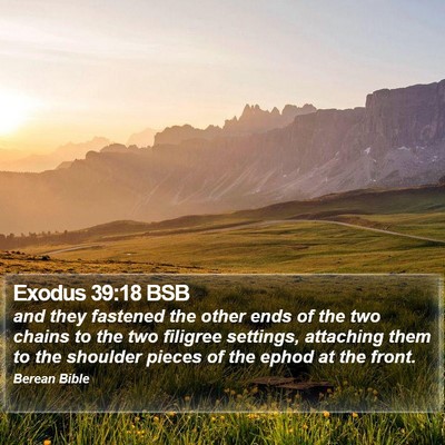 Exodus 39:18 BSB Bible Verse Image