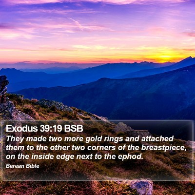 Exodus 39:19 BSB Bible Verse Image
