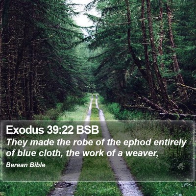 Exodus 39:22 BSB Bible Verse Image