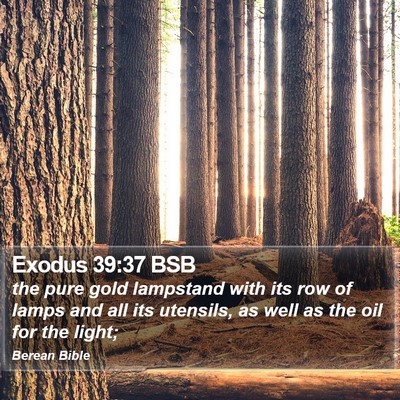 Exodus 39:37 BSB Bible Verse Image