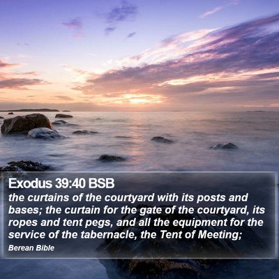 Exodus 39:40 BSB Bible Verse Image