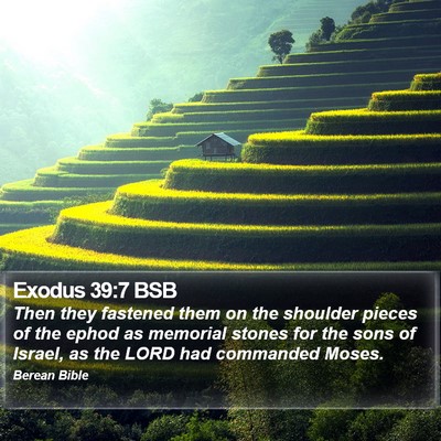 Exodus 39:7 BSB Bible Verse Image