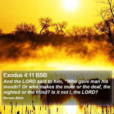 Exodus 4:11 BSB Bible Verse Image