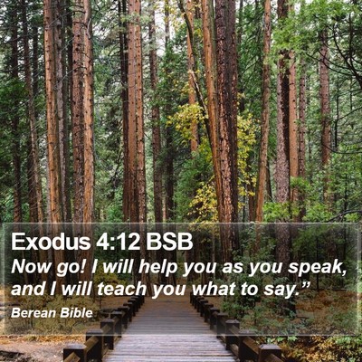 Exodus 4:12 BSB Bible Verse Image