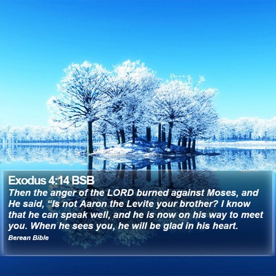 Exodus 4:14 BSB Bible Verse Image