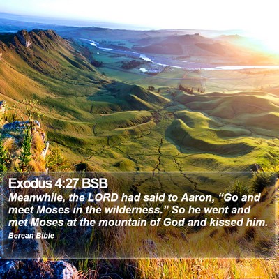 Exodus 4:27 BSB Bible Verse Image