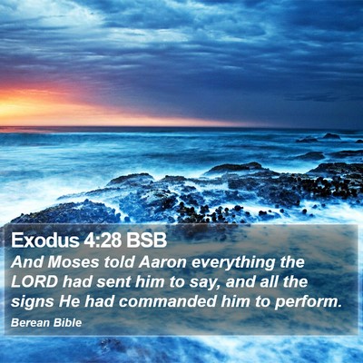 Exodus 4:28 BSB Bible Verse Image