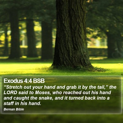 Exodus 4:4 BSB Bible Verse Image