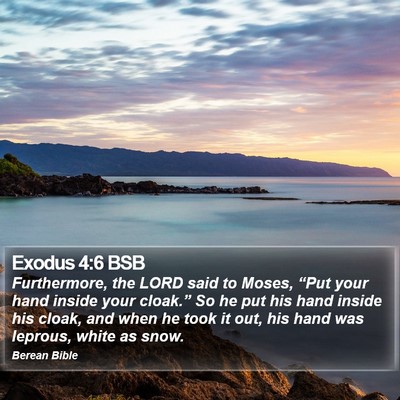 Exodus 4:6 BSB Bible Verse Image