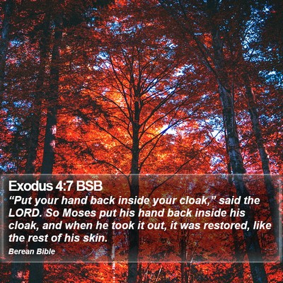 Exodus 4:7 BSB Bible Verse Image