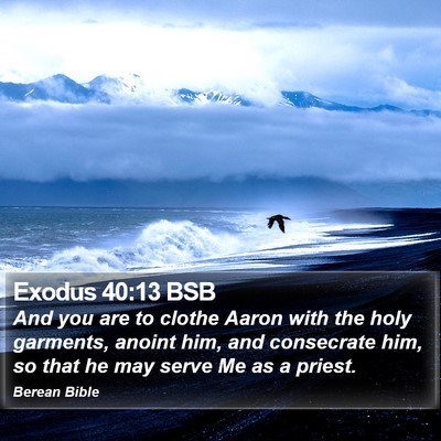 Exodus 40:13 BSB Bible Verse Image