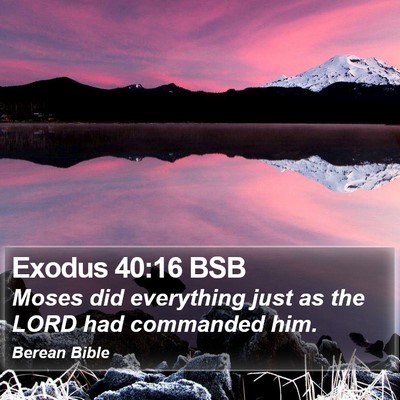 Exodus 40:16 BSB Bible Verse Image