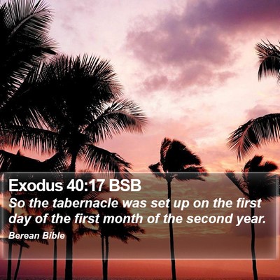 Exodus 40:17 BSB Bible Verse Image
