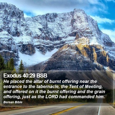 Exodus 40:29 BSB Bible Verse Image
