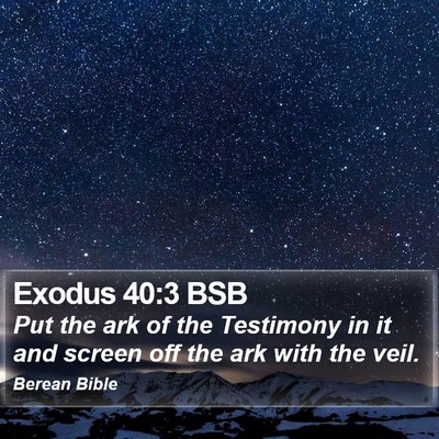 Exodus 40:3 BSB Bible Verse Image