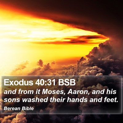 Exodus 40:31 BSB Bible Verse Image