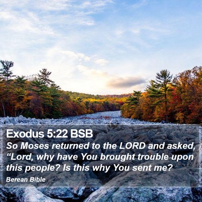 Exodus 5:22 BSB Bible Verse Image