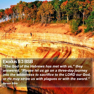 Exodus 5:3 BSB Bible Verse Image