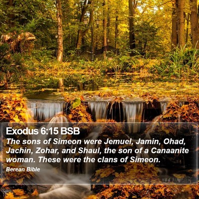 Exodus 6:15 BSB Bible Verse Image