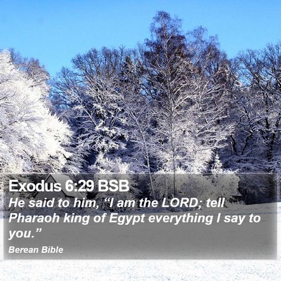 Exodus 6:29 BSB Bible Verse Image