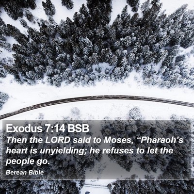Exodus 7:14 BSB Bible Verse Image