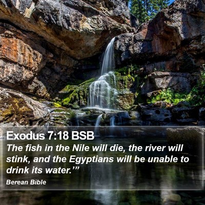 Exodus 7:18 BSB Bible Verse Image
