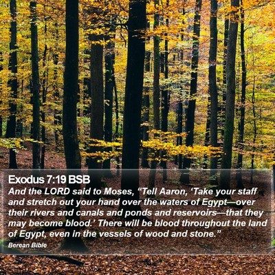 Exodus 7:19 BSB Bible Verse Image