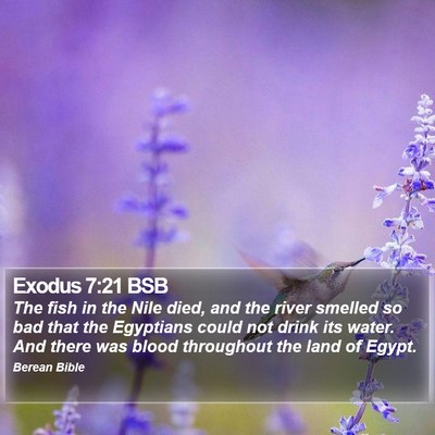 Exodus 7:21 BSB Bible Verse Image