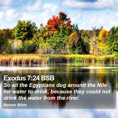 Exodus 7:24 BSB Bible Verse Image