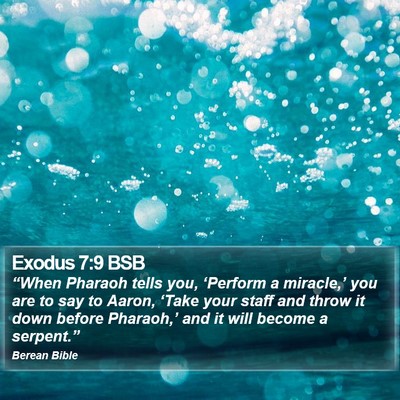 Exodus 7:9 BSB Bible Verse Image