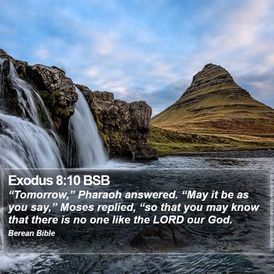 Exodus 8:10 BSB Bible Verse Image