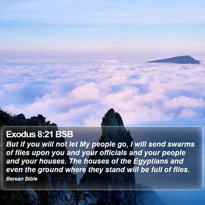 Exodus 8:21 BSB Bible Verse Image