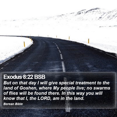 Exodus 8:22 BSB Bible Verse Image