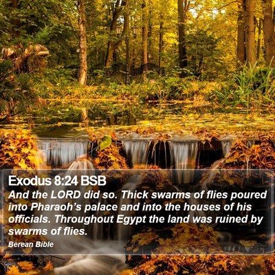 Exodus 8:24 BSB Bible Verse Image