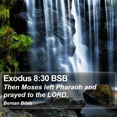 Exodus 8:30 BSB Bible Verse Image