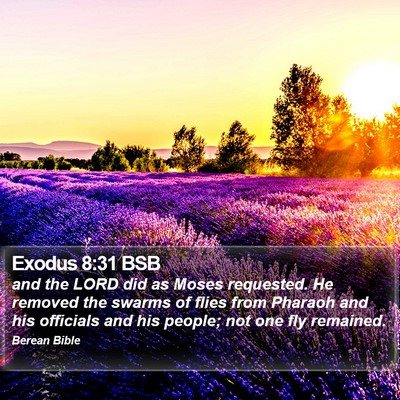 Exodus 8:31 BSB Bible Verse Image