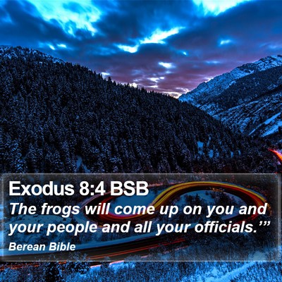 Exodus 8:4 BSB Bible Verse Image