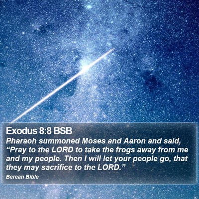 Exodus 8:8 BSB Bible Verse Image