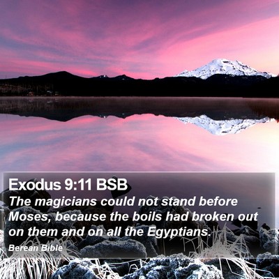 Exodus 9:11 BSB Bible Verse Image