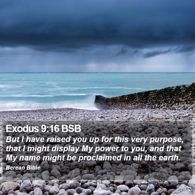 Exodus 9:16 BSB Bible Verse Image