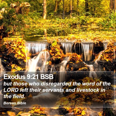 Exodus 9:21 BSB Bible Verse Image