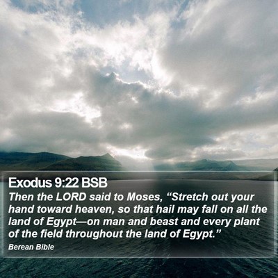 Exodus 9:22 BSB Bible Verse Image