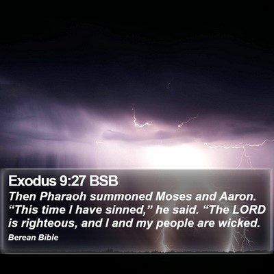 Exodus 9:27 BSB Bible Verse Image