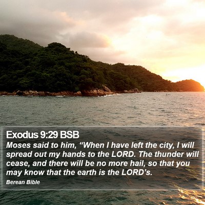 Exodus 9:29 BSB Bible Verse Image